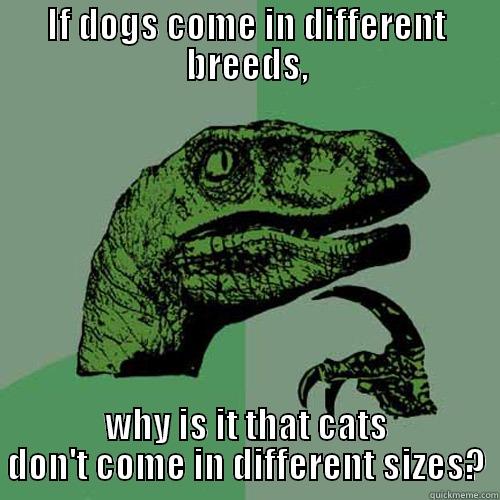 IF DOGS COME IN DIFFERENT BREEDS, WHY IS IT THAT CATS DON'T COME IN DIFFERENT SIZES? Philosoraptor