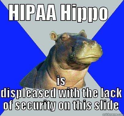   HIPAA HIPPO     IS DISPLEASED WITH THE LACK OF SECURITY ON THIS SLIDE Skeptical Hippo