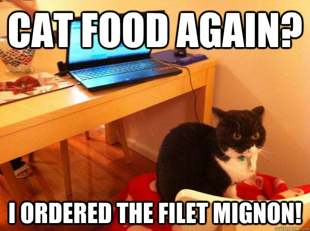 Cat food again? I ordered the filet mignon! - Cat food again? I ordered the filet mignon!  Unimpressed Cat