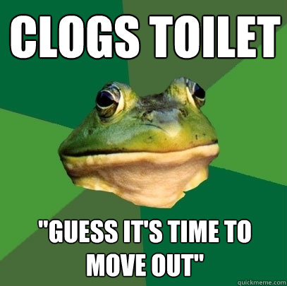 Clogs toilet 