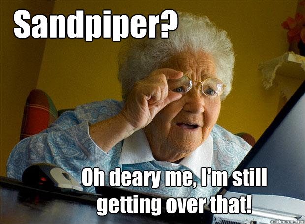 Sandpiper? Oh deary me, I'm still getting over that!  Grandma finds the Internet