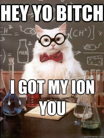 Hey yo bitch i got my ion you - Hey yo bitch i got my ion you  Chemistry Cat