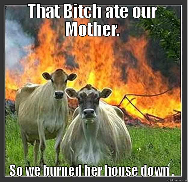 that bitch! - THAT BITCH ATE OUR MOTHER. SO WE BURNED HER HOUSE DOWN .  Evil cows