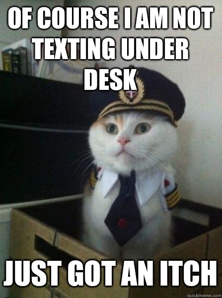 Of course I am not texting under desk Just got an itch - Of course I am not texting under desk Just got an itch  Captain kitteh