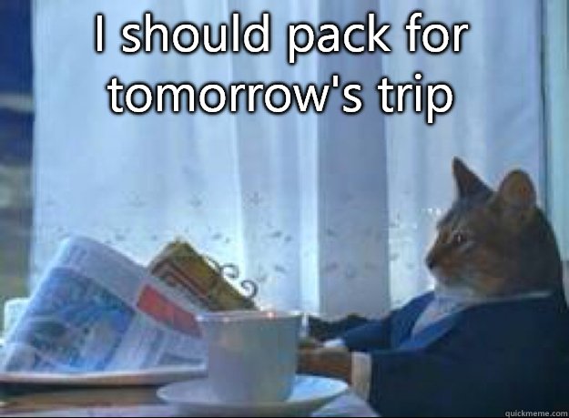 I should pack for tomorrow's trip   I should buy a boat cat