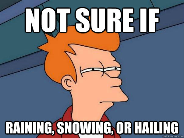 Not sure if  raining, snowing, or hailing - Not sure if  raining, snowing, or hailing  Futurama Fry