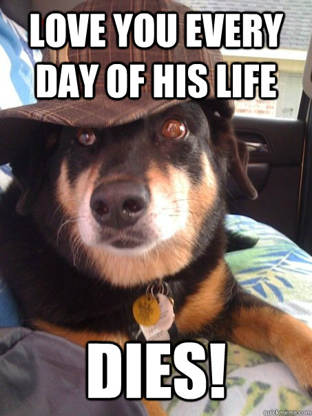 Love you every day of his life Dies!  Scumbag dog