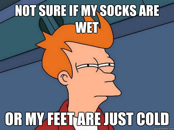 Not sure if my socks are wet Or my feet are just cold - Not sure if my socks are wet Or my feet are just cold  Futurama Fry