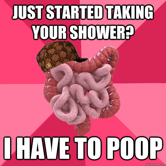 Just started taking your shower? I have to poop  Scumbag Intestines