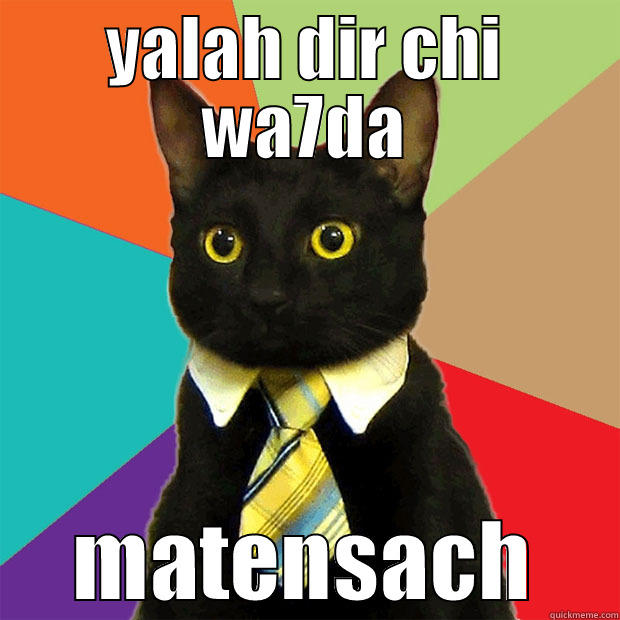 YALAH DIR CHI WA7DA MATENSACH Business Cat