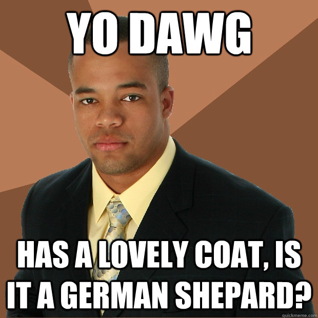 Yo Dawg Has a lovely coat, is it a German Shepard?   Successful Black Man