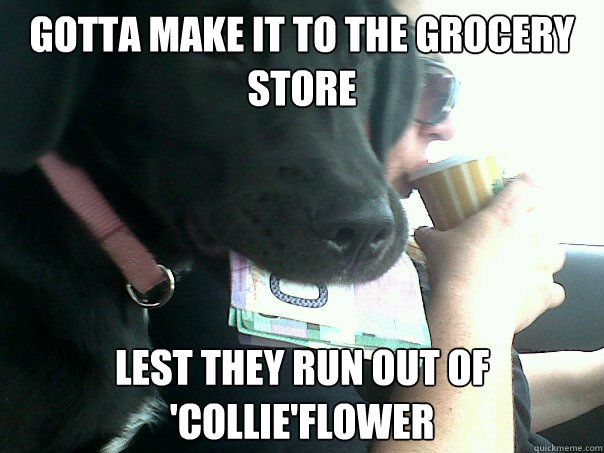 Gotta make it to the grocery store lest they run out of 'collie'flower  Middle class dog who likes puns