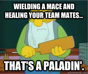 wielding a mace and healing your team mates... That's a paladin'.  