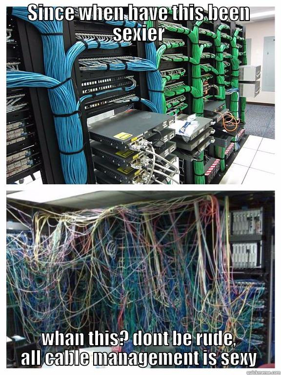 All cable management is sexy, dont be rude. - SINCE WHEN HAVE THIS BEEN SEXIER WHAN THIS? DONT BE RUDE, ALL CABLE MANAGEMENT IS SEXY Misc