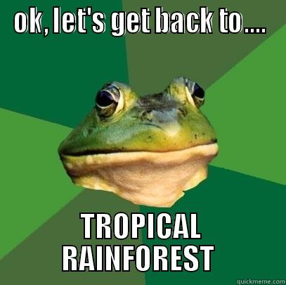 back to life - OK, LET'S GET BACK TO.... TROPICAL RAINFOREST  Foul Bachelor Frog