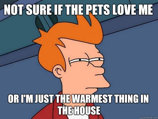 Not sure if the pets love me Or I'm just the warmest thing in the house  Futurama Fry