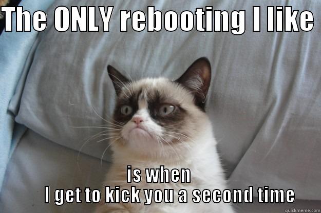 kick it! - THE ONLY REBOOTING I LIKE  IS WHEN       I GET TO KICK YOU A SECOND TIME Grumpy Cat