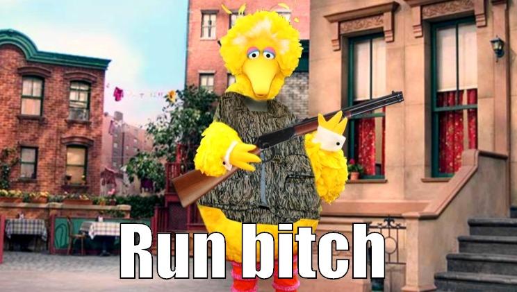 Run big bird  -     RUN BITCH Misc