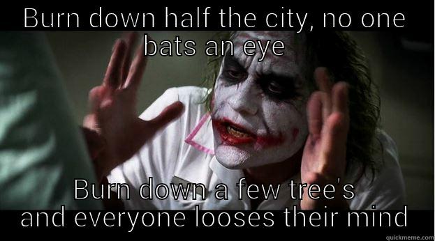 BURN DOWN HALF THE CITY, NO ONE BATS AN EYE BURN DOWN A FEW TREE'S AND EVERYONE LOOSES THEIR MIND Joker Mind Loss