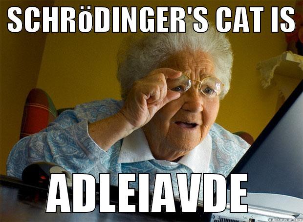 schrodinger's cat -  SCHRÖDINGER'S CAT IS  ADLEIAVDE Grandma finds the Internet