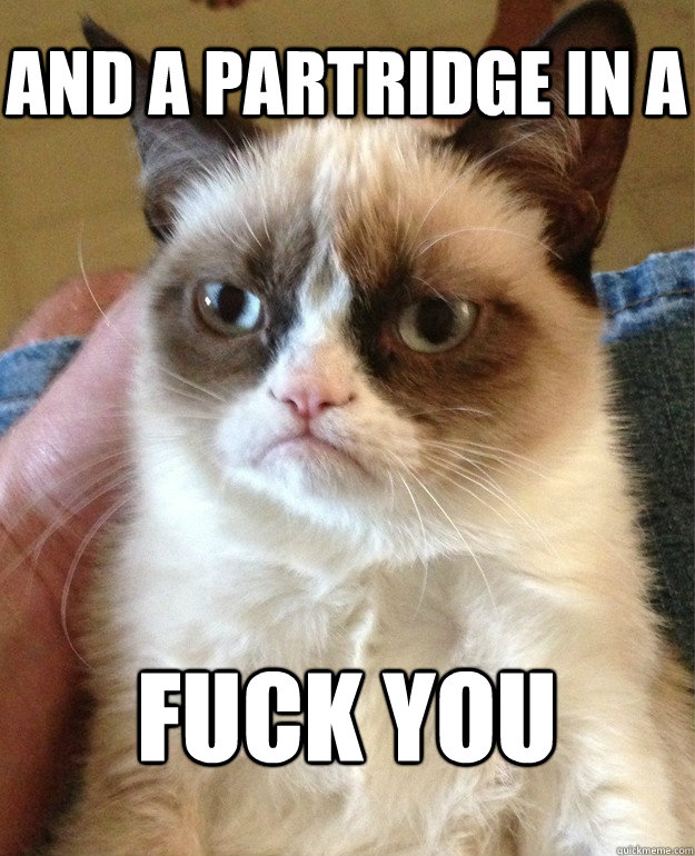 AND A PARTRIDGE IN A  FUCK YOU  Grumpy Cat