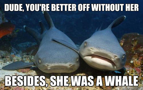 Dude, you're better off without her Besides, she was a whale  