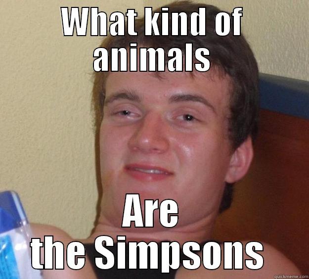 My roommate - WHAT KIND OF ANIMALS ARE THE SIMPSONS  10 Guy