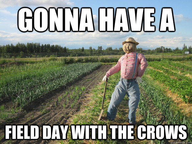 Gonna have a field day with the crows  Scarecrow