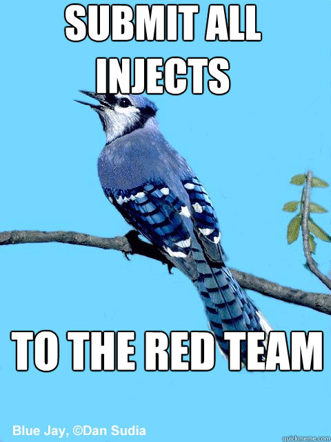 submit all injects to the red team  Blue Team Bird