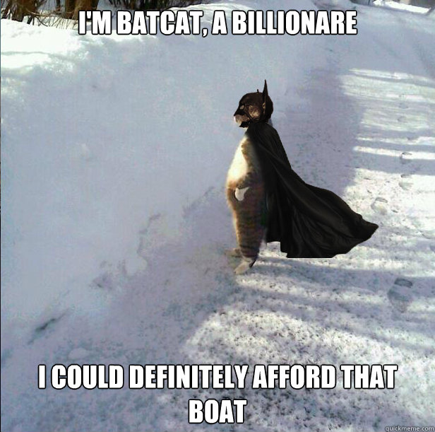 I'm batcat, a billionare I could definitely afford that boat  Sophisticated batman cat