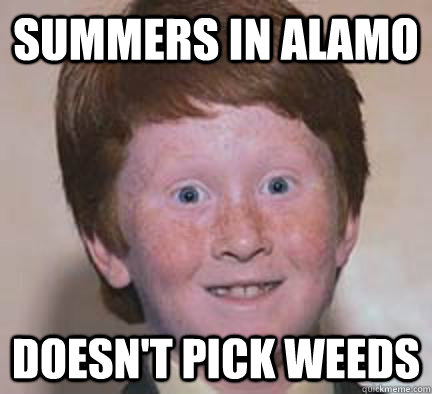 Summers in Alamo Doesn't pick weeds  Over Confident Ginger