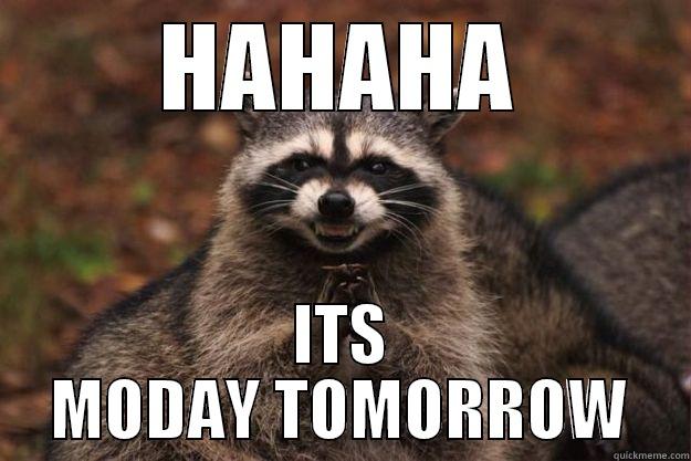 HAHAHA ITS MODAY TOMORROW Evil Plotting Raccoon