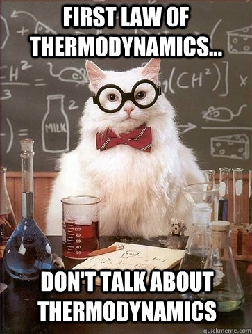 first law of thermodynamics... don't talk about thermodynamics  Chemistry Cat