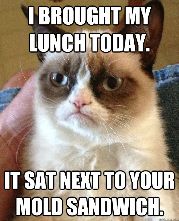 I brought my lunch today. It sat next to your mold sandwich.  Grumpy Cat