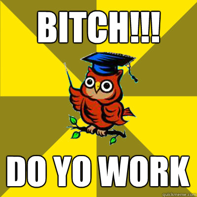 BITCH!!! DO YO WORK  Observational Owl