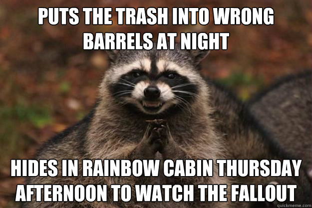 puts the trash into wrong barrels at night hides in rainbow cabin thursday afternoon to watch the fallout  Evil Plotting Raccoon