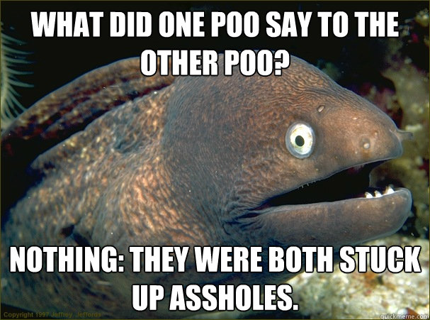 What did one poo say to the other poo? Nothing: they were both stuck up assholes.    Bad Joke Eel