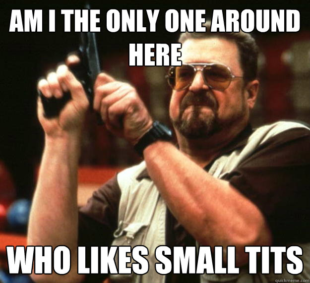 am I the only one around here Who likes small tits  Angry Walter