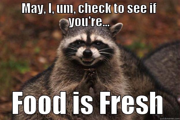 MAY, I, UM, CHECK TO SEE IF YOU'RE... FOOD IS FRESH Evil Plotting Raccoon