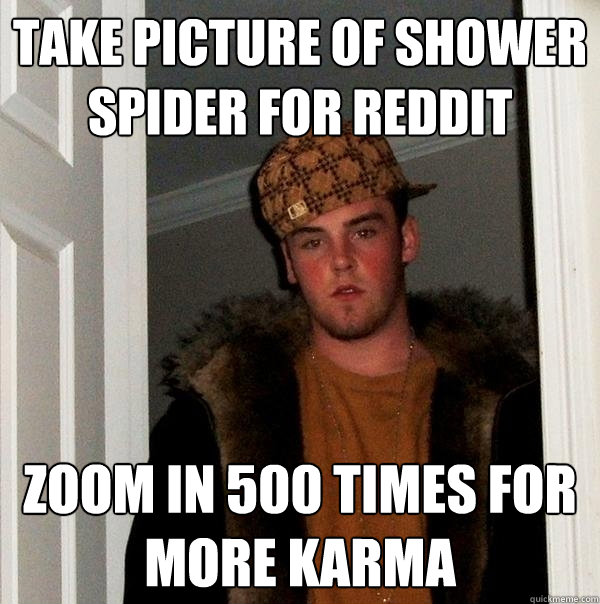 Take picture of shower spider for reddit zoom in 500 times for more karma  Scumbag Steve