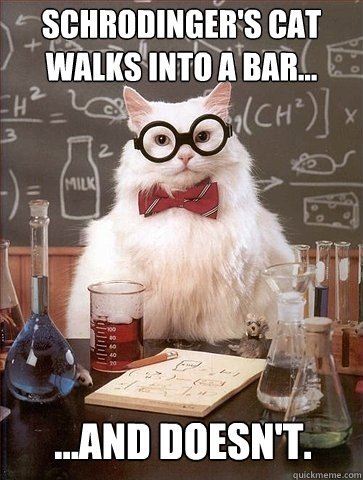 Schrodinger's cat walks into a bar... ...And doesn't. - Schrodinger's cat walks into a bar... ...And doesn't.  Chemistry Cat