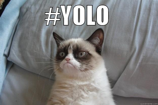 #YOLO  Grumpy Cat