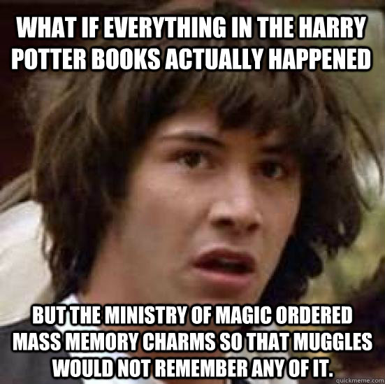 What if everything in the Harry Potter books actually happened  but the ministry of magic ordered mass memory charms so that muggles would not remember any of it.  conspiracy keanu