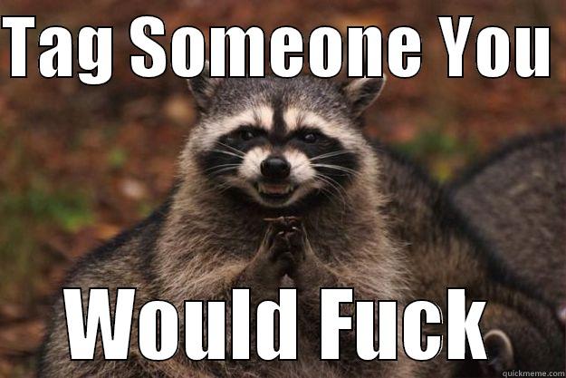 TAG SOMEONE YOU  WOULD FUCK Evil Plotting Raccoon