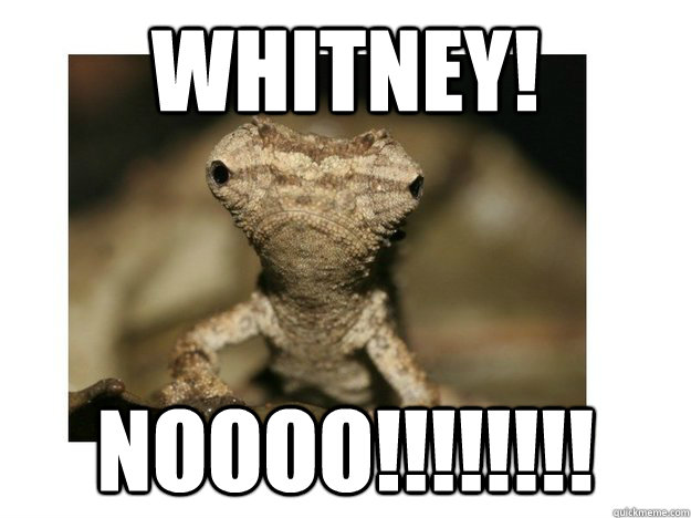 WHITNEY! NOOOO!!!!!!!!  Sad Lizard