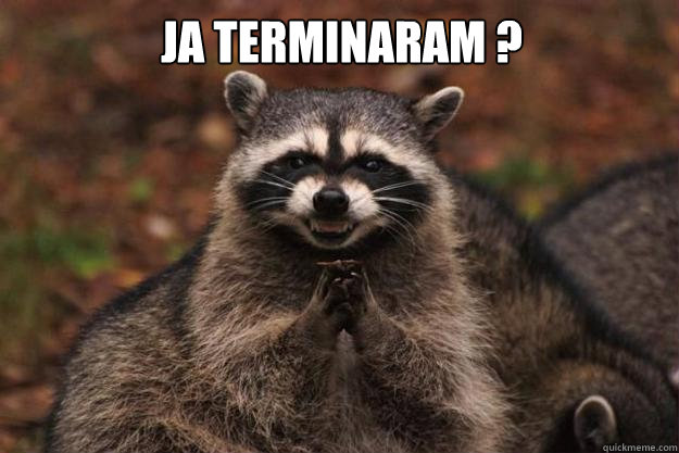 Ja terminaram ?   Evil Plotting Raccoon