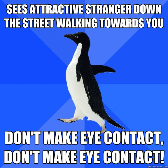 Sees attractive stranger down the street walking towards you Don't make eye contact, don't make eye contact! - Sees attractive stranger down the street walking towards you Don't make eye contact, don't make eye contact!  Socially Awkward Penguin