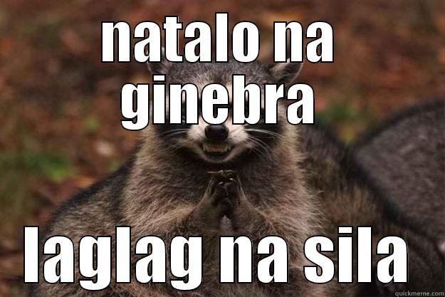 NATALO NA GINEBRA LAGLAG NA SILA Evil Plotting Raccoon