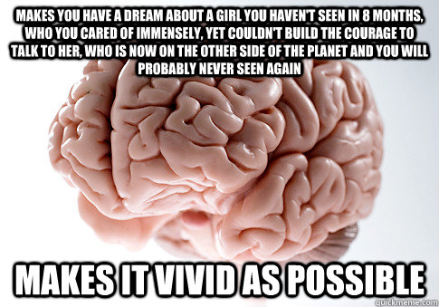 MAKES YOU HAVE A DREAM ABOUT A GIRL YOU HAVEN'T SEEN IN 8 MONTHS, WHO YOU CARED OF IMMENSELY, YET COULDN'T BUILD THE COURAGE TO TALK TO HER, WHO IS NOW ON THE OTHER SIDE OF THE PLANET AND YOU WILL PROBABLY NEVER SEEN AGAIN MAKES IT VIVID AS POSSIBLE   Scumbag Brain