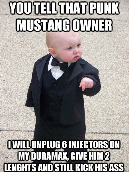 YOU TELL THAT PUNK MUSTANG OWNER I WILL UNPLUG 6 INJECTORS ON MY DURAMAX, GIVE HIM 2 LENGHTS AND STILL KICK HIS ASS  Baby Godfather